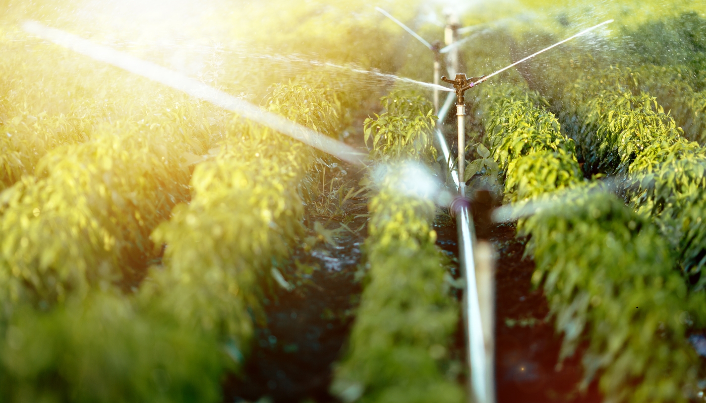 agri suplier (1)