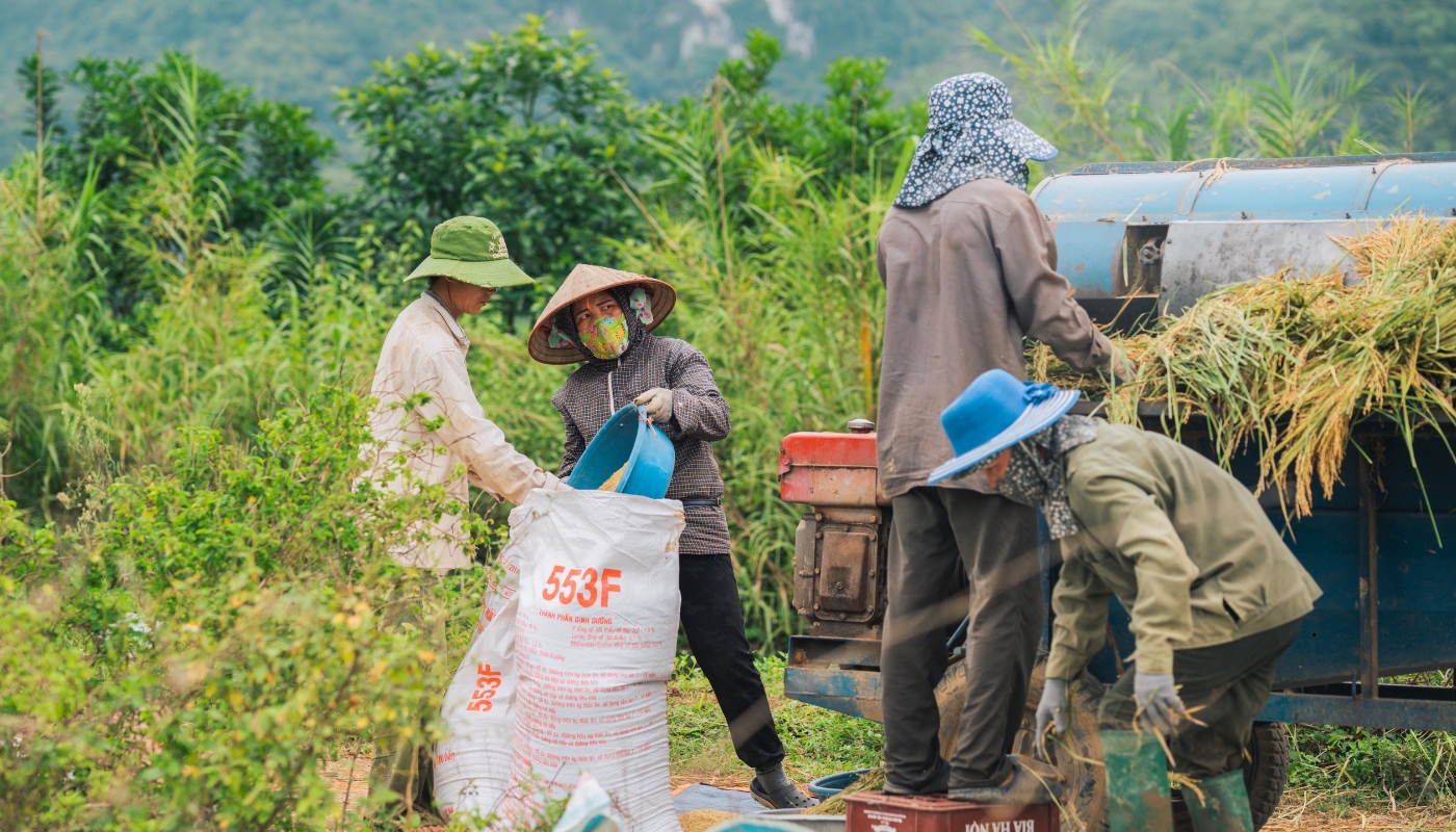 agri suplier (12)