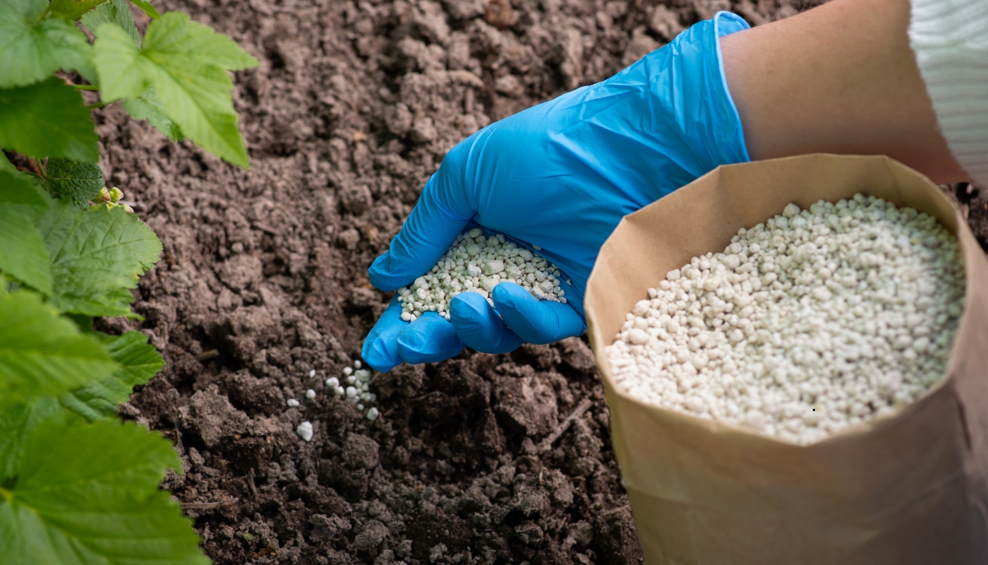 agrisupplier (1)