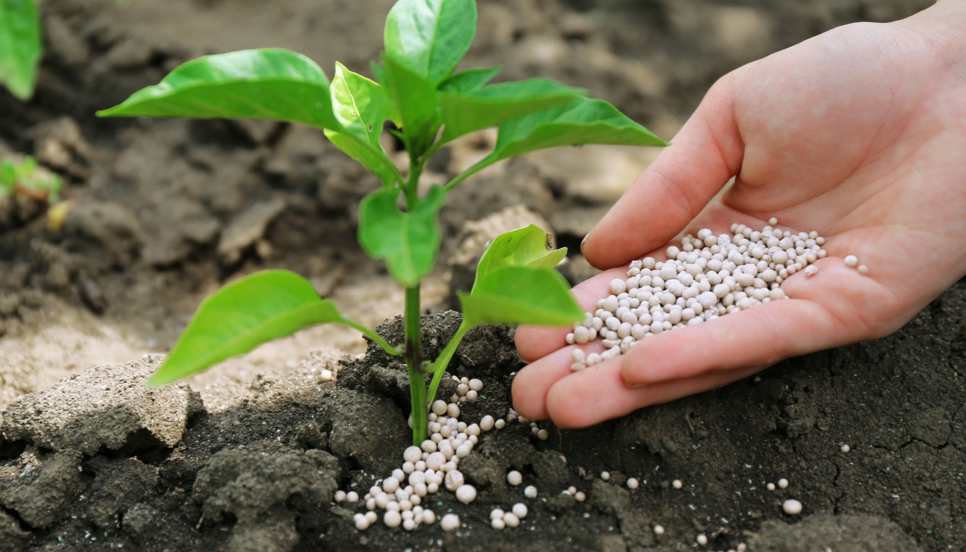 agrisupplier